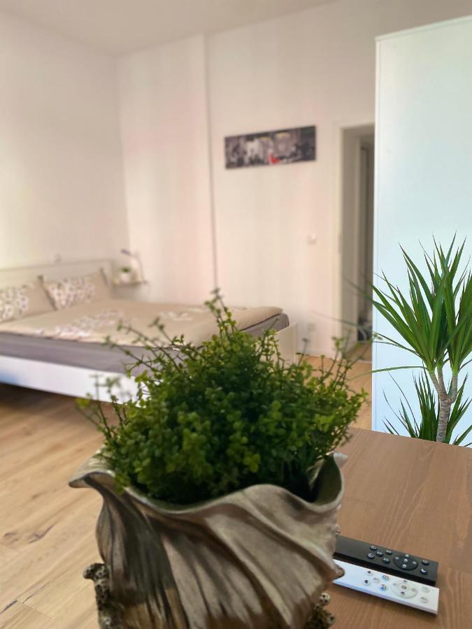 Pnt Home-Stilvolles Apartment Кобленц Экстерьер фото